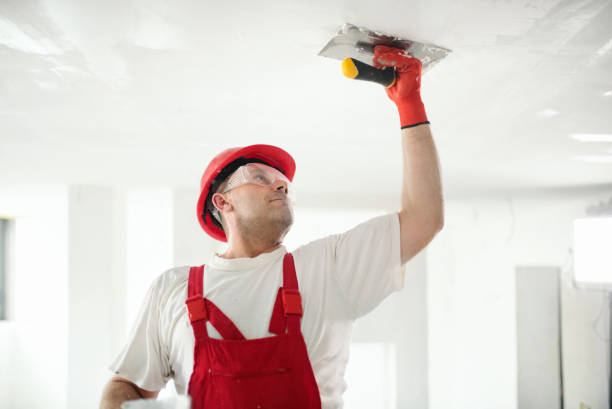 Best Mold Odor Removal Services  in USA